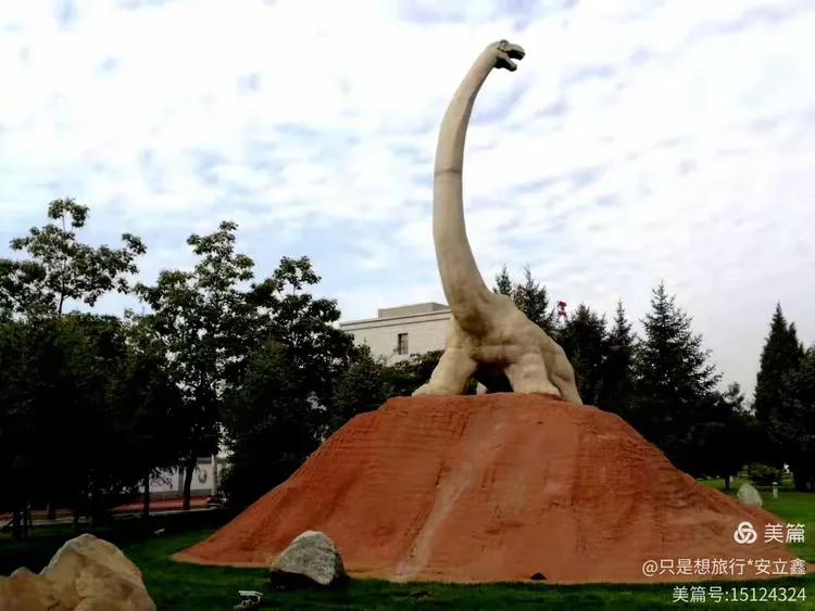 【探秘之星征文】中华第一龙的故事